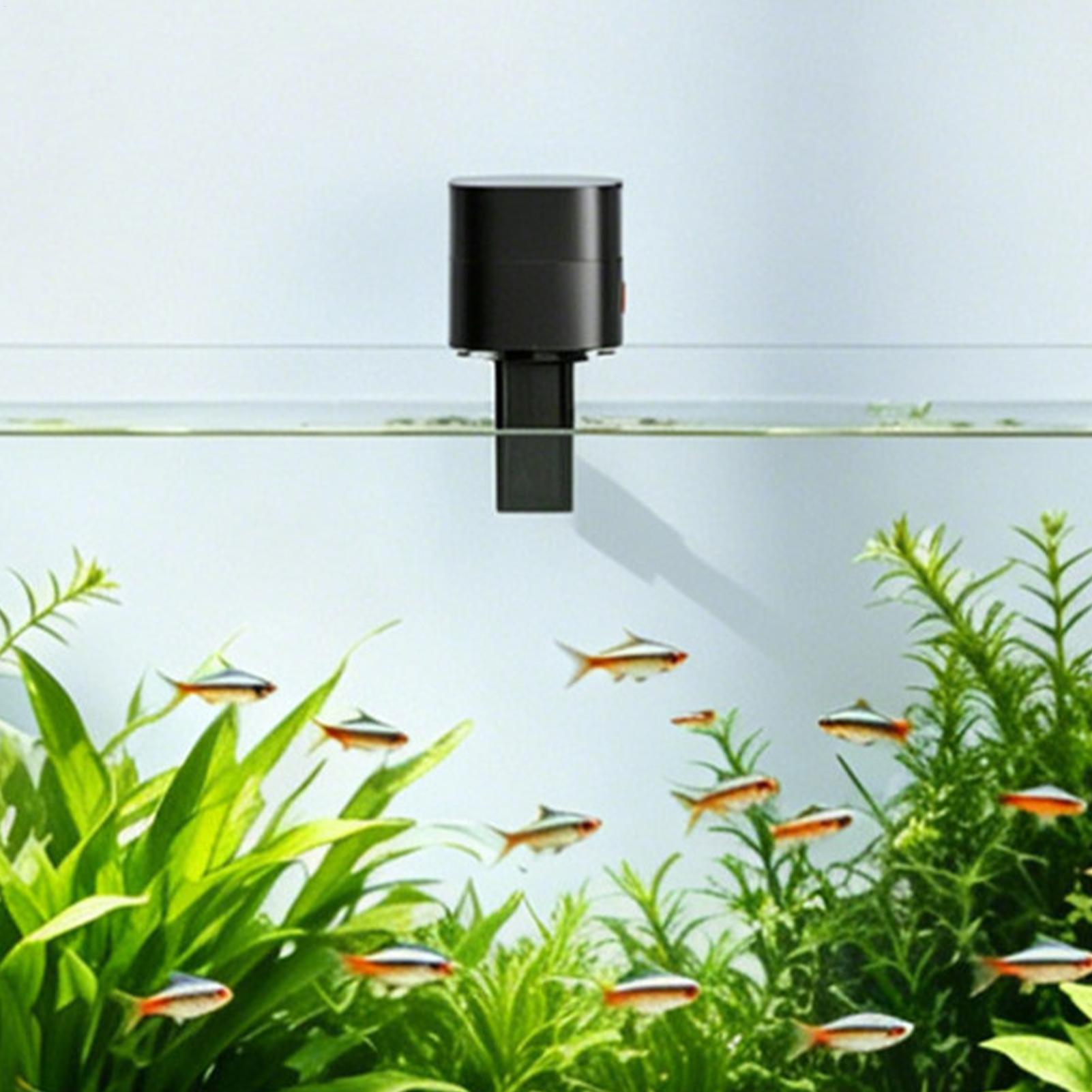 Alimentador automático de pece - Fishing Line Dispenser reseña y precio