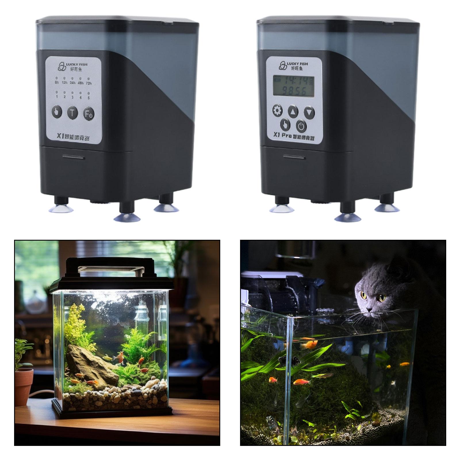 Alimentador automático de pece - Fishing Line Dispenser reseña y precio