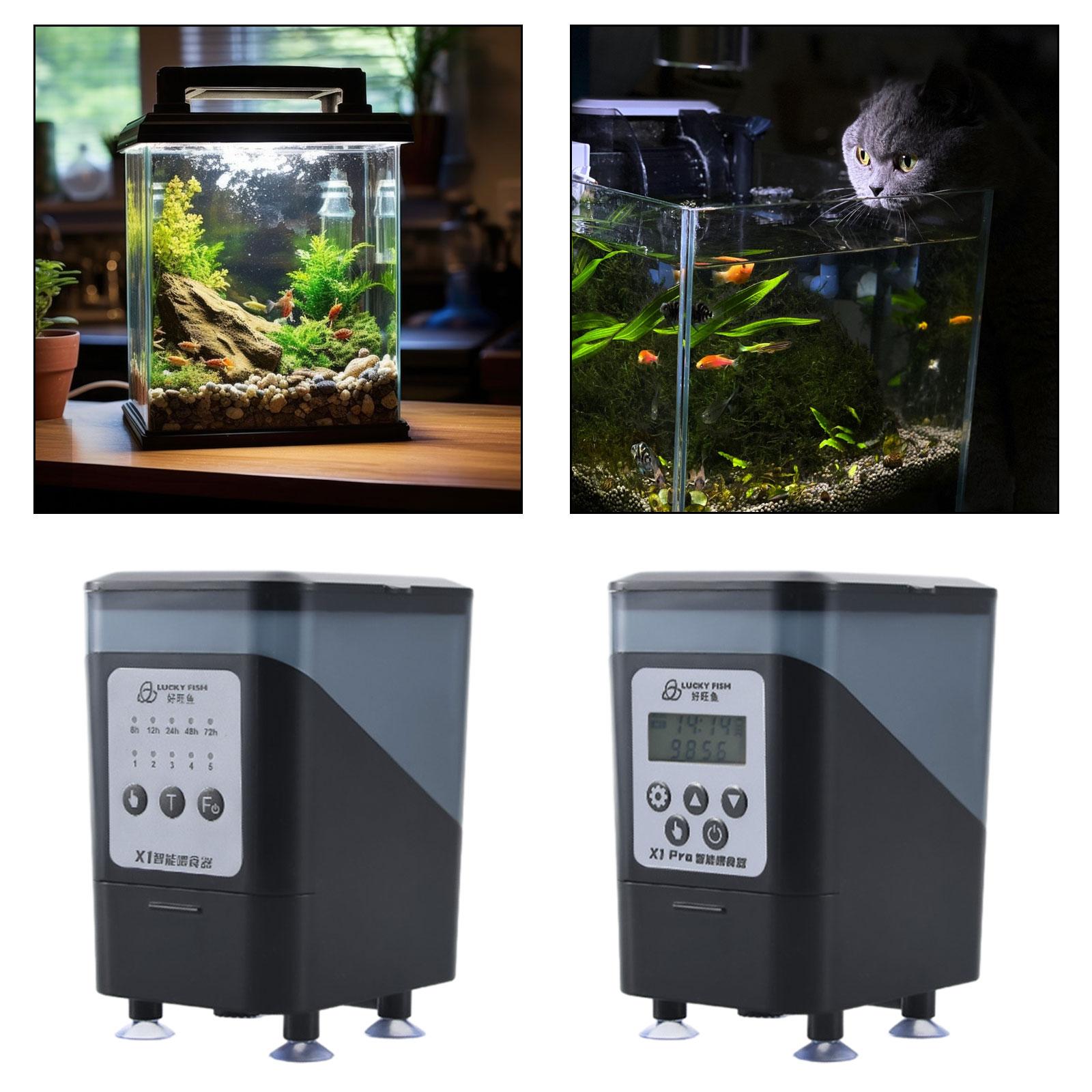 Alimentador automático de pece - Fishing Line Dispenser reseña y precio